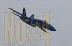 FS2004                   F-18E Blue Angels No.4 Textures only