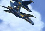 FS2004                   F-18E Blue Angels No.5 Textures only
