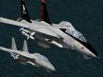 FS2004/2002
                  F-14 VF-101 "Grim Reapers" Textures only pack