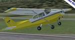 FS2004
                  Default Cessna 172 Repaint & Modification: