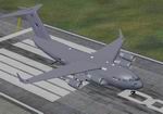 FS2004
                  C-17 Globemaster III RAF Textures only