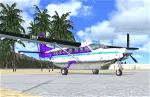 FSX Cessna 208B - Palm Express Textures