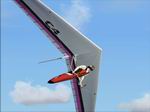 FSx
                  Airborne C4 Hang Glider. 