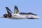 FS2000
                  McDonnell Douglas CF-18A CAF 188718 "75th Anniversary Paint"