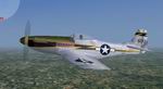 P-51d
                  118th TRS