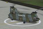 FS2004
                  Boeing CH-47C Chinook Italian Army Textures only.