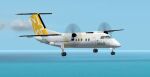 FS2002
                  Caribbean Star DHC8-100 V2-LFJ Textures Only