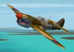 CFS2
            P40E Kittyhawk in Desert Markings