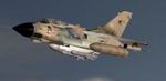 FS2004                   Tornado GR1 RAF Desert Storm "Donna Ewin" Textures                   only.