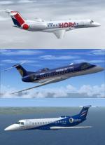 FSX/P3D Embraer ERJ-135 FSX Repaint Pack 2