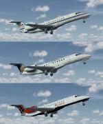 FSX/P3D Embraer ERJ-135 FSX Repaint Pack 3