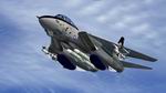 FSX/FS2004
                    Grumman F-14D Tomcat Rev 2 Package (revised & updated)