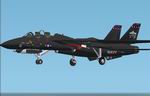 FS2002
                  F-14D Tomcat VX-9 Vampires 