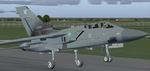 FS2004
                  Panavia Tornado RAF F3 ZE942 Textures only