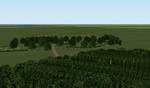 FS2000/2002:
                  Forest Fire: