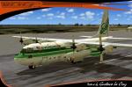 C-130H Hercules Evergreen Cargo
