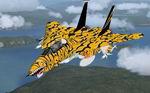 FSX                  Grumman F14D Tomcat Rev 3 Package