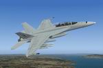 FS2004                   F/A-18F "Super Hornet" and E/A-18G "Growler"                   Fleet Air Arm Textures only