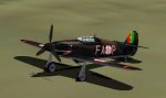 CFS1
            default Hawker Hurricane MKI in the Portuguese airforce colors
