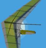 FS98                     Hang glider