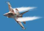 FS2002/FS2004
                  IAF F-16 VIPER