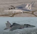 FSX/P3D Iris F-15D package FSX native USAF Pack 1