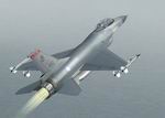 FS
                  2002/2004 F-16 21st "Poker Cards" Fighter Squadron.