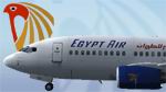 FS2004
                  Boeing 737 Experience Egypt Air textures only 