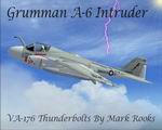 FSX
                  A6E Intruder USN The Thunderbolts 