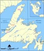 FSX Newfoundland Airfield Locator