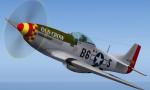 FS2004 P-51 Mustang Old Crow Textures