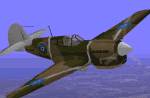 CFS
            P-40E Kittyhawk RNZAF