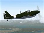 Piaggio P119 WW2 Fighter