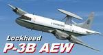  U.S. Customs Service P-3B AEW.