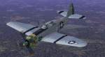 USAF
            P-47D 'Luck of the Irish'