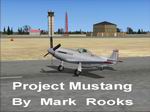 FSX:
                  Roger Dial's P- 51 Mustang Blank Textures