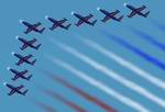 FS2002
                  Patrouille de France 9 plane formation