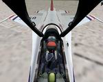 FS2004
                  F-16 Fighting Falcon Thunderbirds Pack