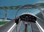 FSX
                  Pitts S-2S Special Package. T