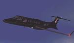 FS2004
                  Playboy Learjet Textures only