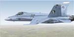 FSX Acceleration Default F/A-18C Rampagers Textures 