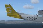 FSX 'G Air' Textures for the FSX Cessna C172