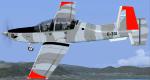 FSX/P3d>v4  T-6A Texan II IRIS  Argentine A.F Textures.