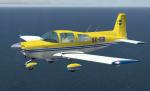 FS2004/FSX Grumman AA-5B SE-GIB Textures