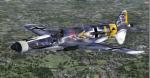 FSX                     Dornier Do335 Package. Multiple aircraft package