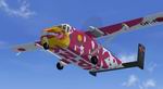 FS2004
                  'Pink' Skyvan.