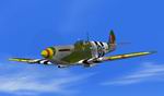FS2004
                  D-Day Spitfire MkVIII TGR.