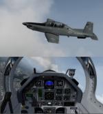 FSX/P3D Raytheon/Beechcraft T-6 Texan II  Pack 3