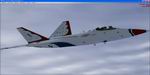FSX
                  YF-22A Raptor USAF Textures only