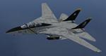 F-14 Tomcat 163217/VF-103 Jolly Rogers Textures